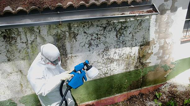 Trusted Mold Remediation service in Purcellville, VA - Cheap Mold Removal